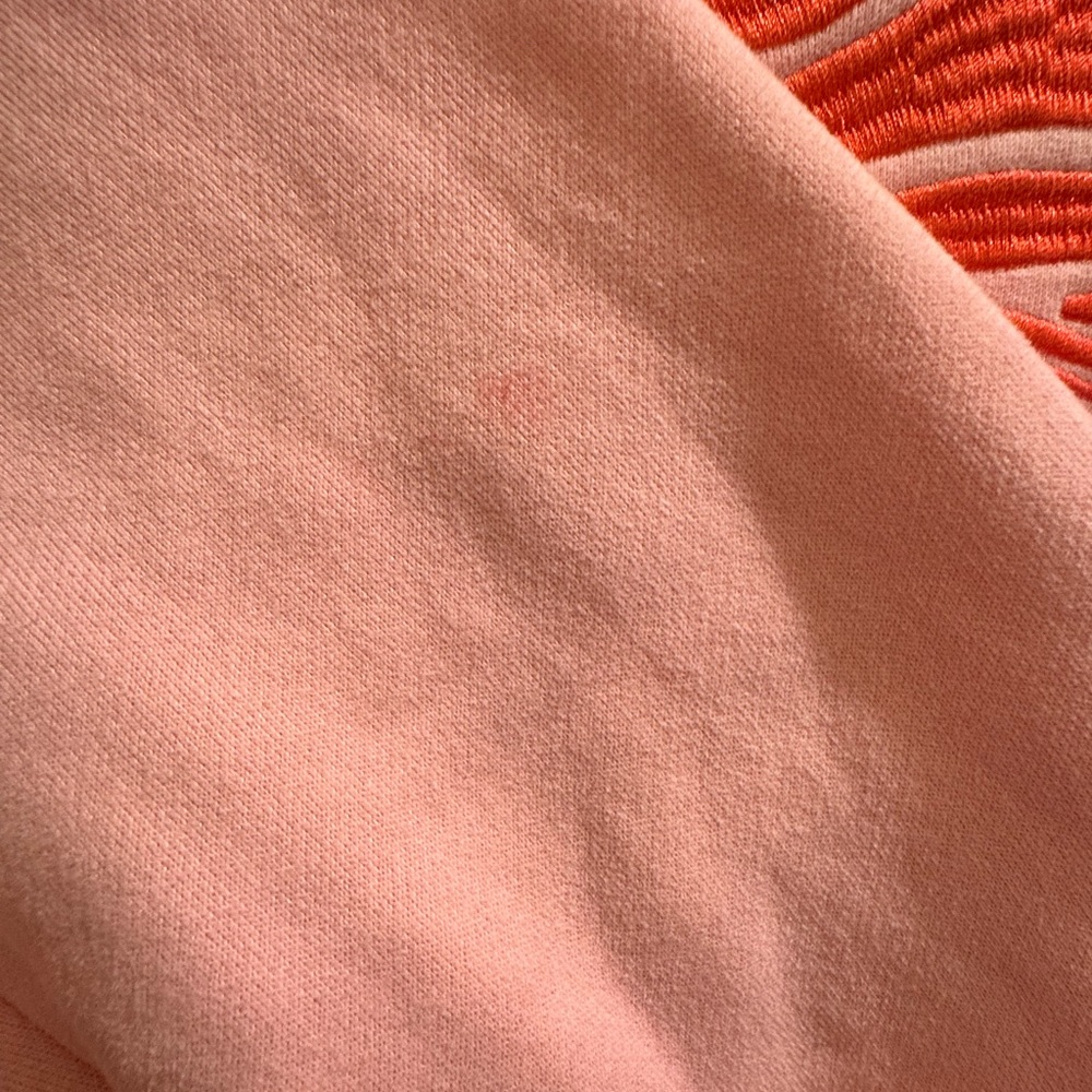 PINK PALM PUFF “Everything Comes in Waves” Oversized Hoodie - VGUC - Size XS - Picture 4 of 5